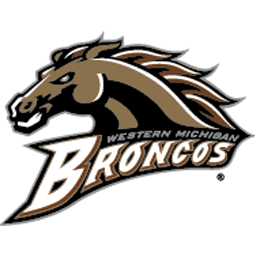 Youth Brown Western Michigan Broncos Team Logo Quarter-Zip