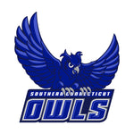 Southern Connecticut State University Owls