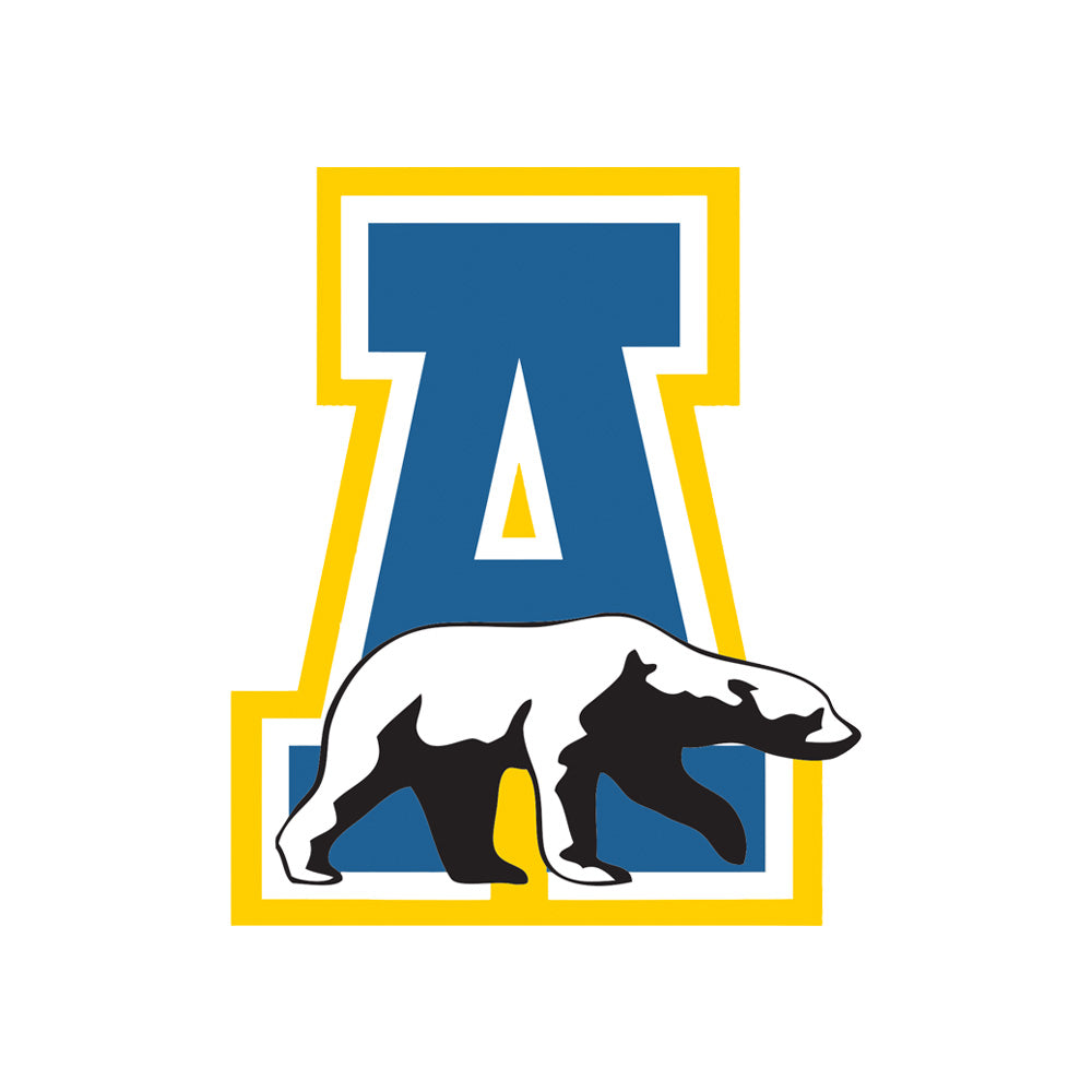 Alaska Mailday! University of Alaska Fairbanks Nanooks authentic jersey, a  beauty! : r/hockeyjerseys