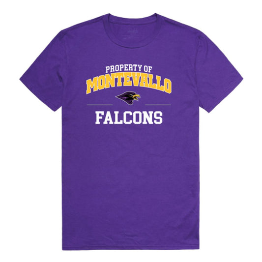 University of Montevallo Falcons Property T-Shirt
