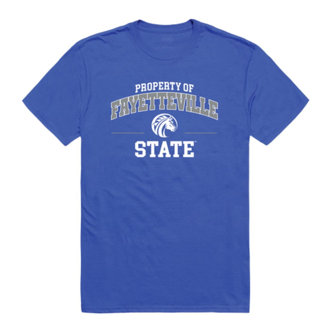 Fayetteville State University Broncos Property T-Shirt