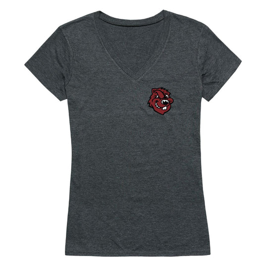 City College of New York Beavers Womens Cinder T-Shirt
