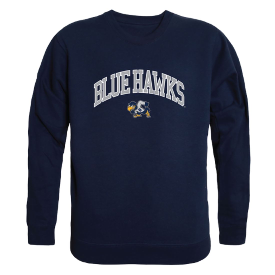 Dickinson State University Blue Hawks Campus Crewneck Sweatshirt