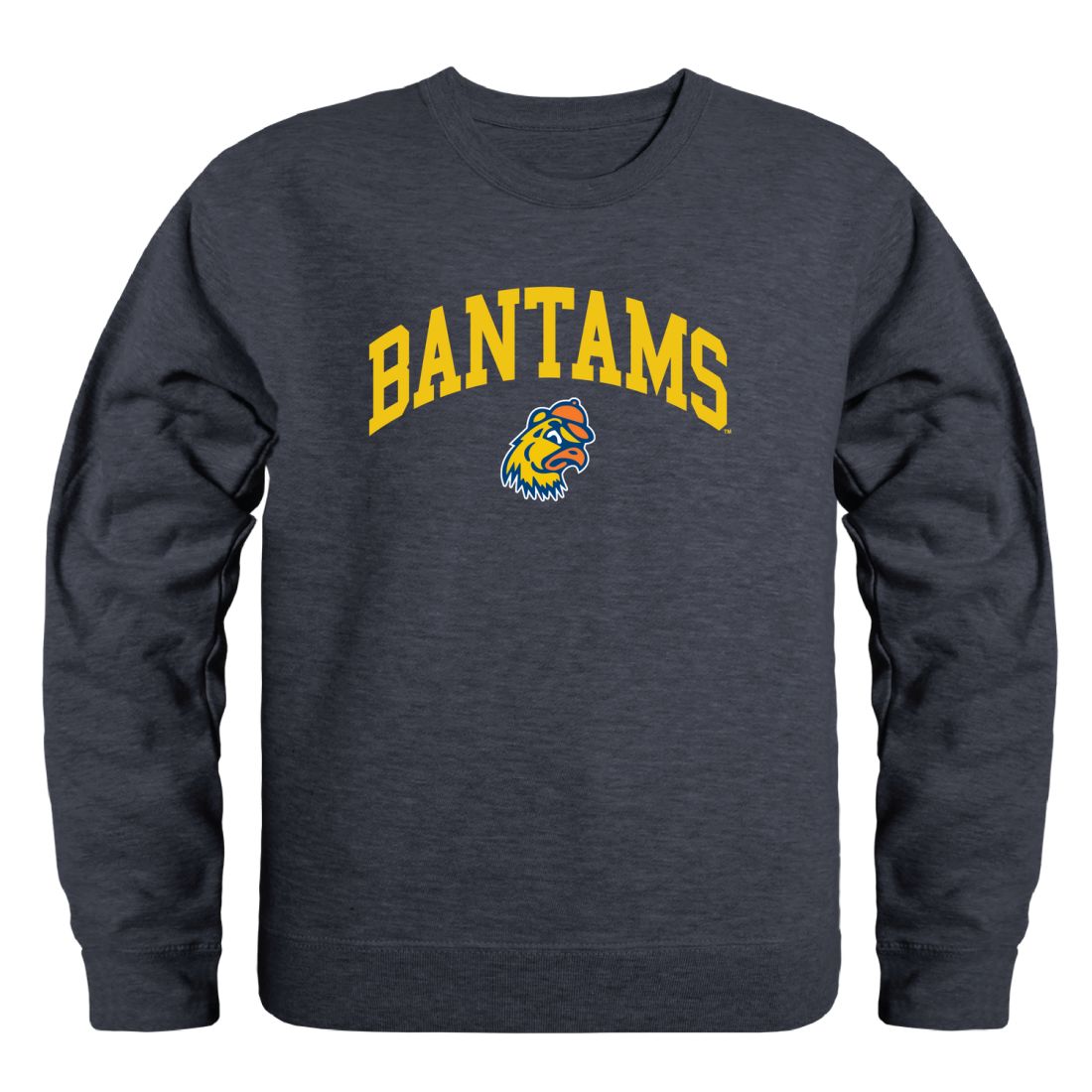 Trinity College Bantams Campus Crewneck Sweatshirt