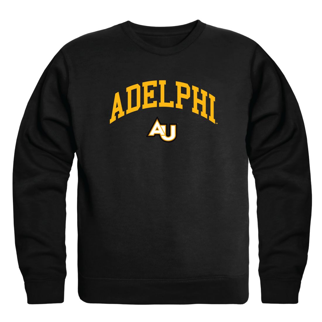 Adelphi 2025 university sweatshirt