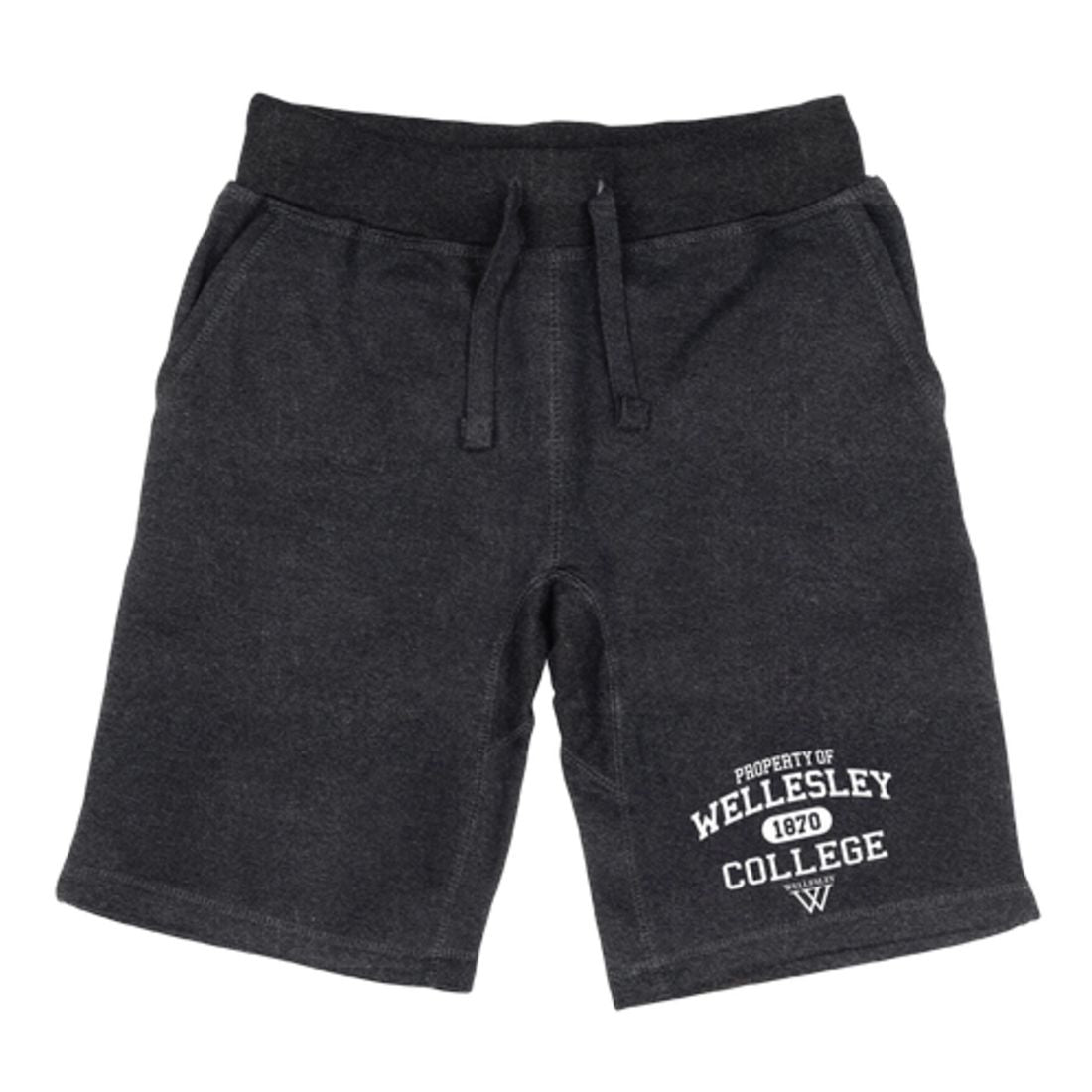 Wellesley College Blue Property Shorts Fleece Drawstring