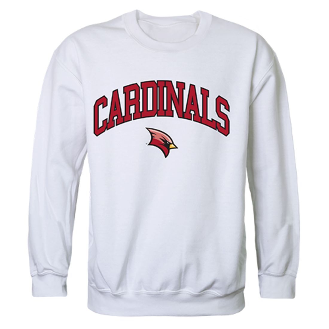 Saginaw valley state outlet university sweatshirt