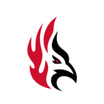 Carthage College Firebirds