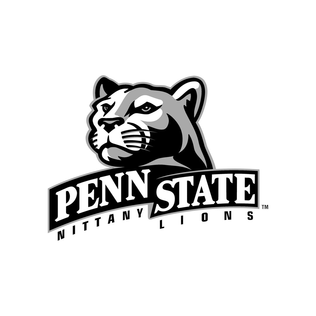 Pennsylvania state university lions official team apparel