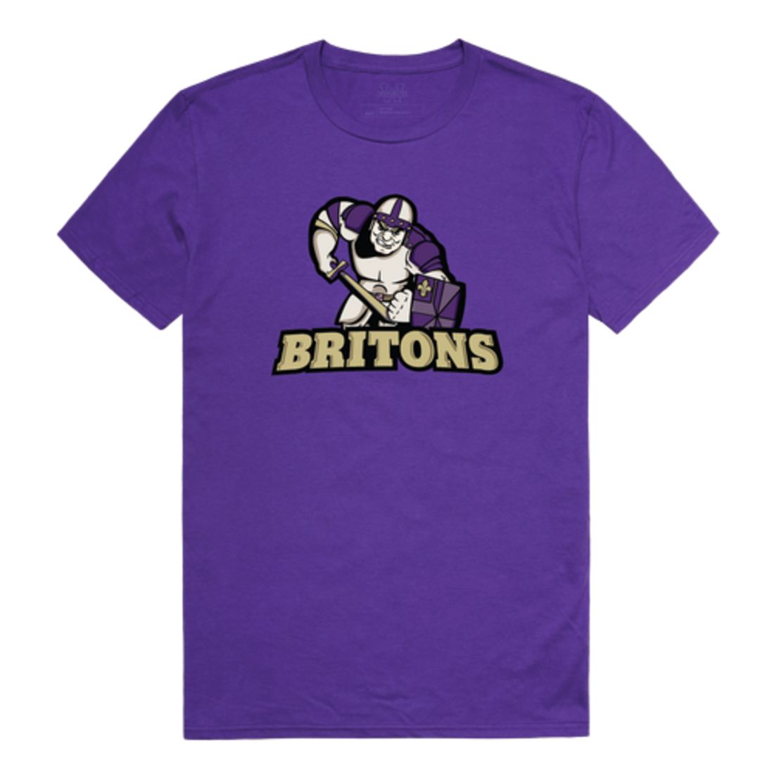 Albion College Britons The Freshmen T-Shirt Tee