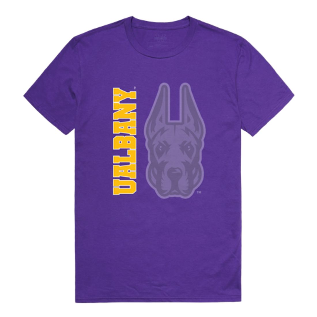 UAlbany University of Albany The Great Danes Ghost College T-Shirt