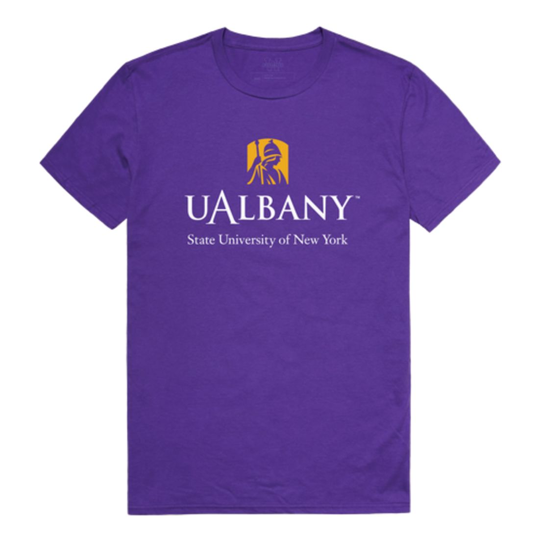 UAlbany University of Albany The Great Danes Institutional T-Shirt