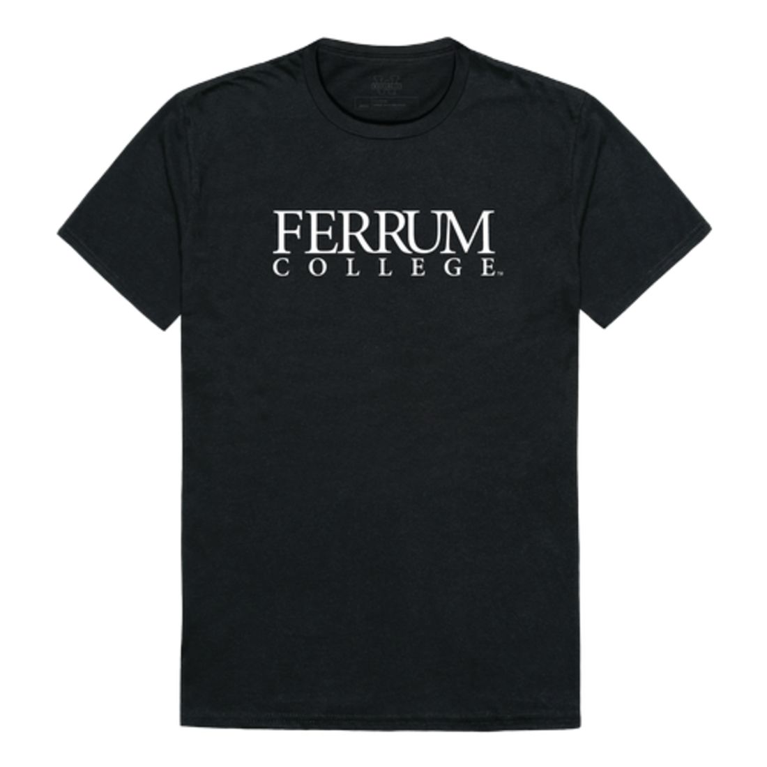 Ferrum College Panthers Institutional T-Shirt