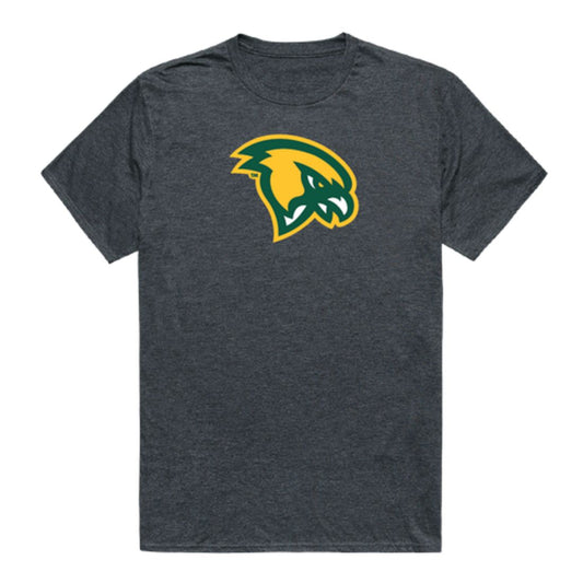 Fitchburg State University Falcons Cinder T-Shirt Tee