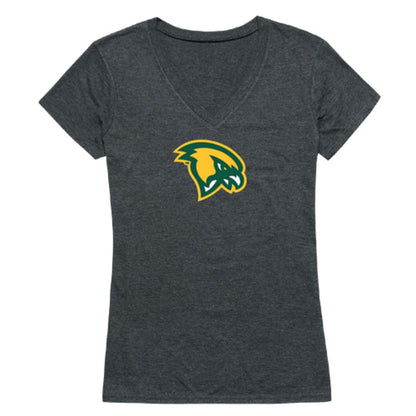 Fitchburg State University Falcons Womens Cinder T-Shirt Tee