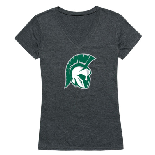 Illinois Wesleyan University Titans Womens Cinder T-Shirt