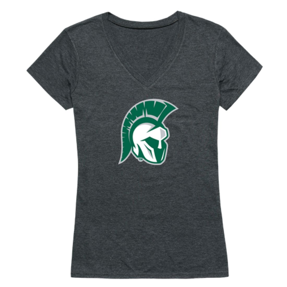 Illinois Wesleyan University Titans Womens Cinder T-Shirt