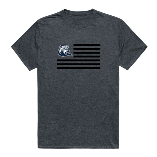 Drew University Rangers USA Flag T-Shirt Tee