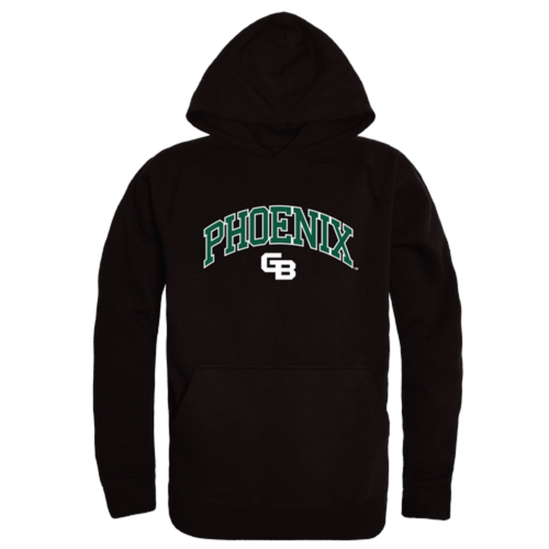 Wiscons Green Bay Phoenix Campus Fleece Hoodie Sweatshirts