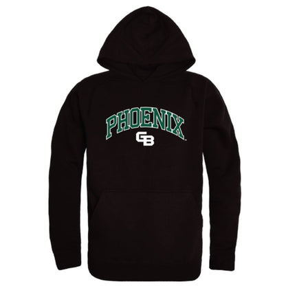 Wiscons Green Bay Phoenix Campus Fleece Hoodie Sweatshirts