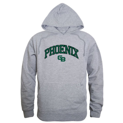 Wiscons Green Bay Phoenix Campus Fleece Hoodie Sweatshirts