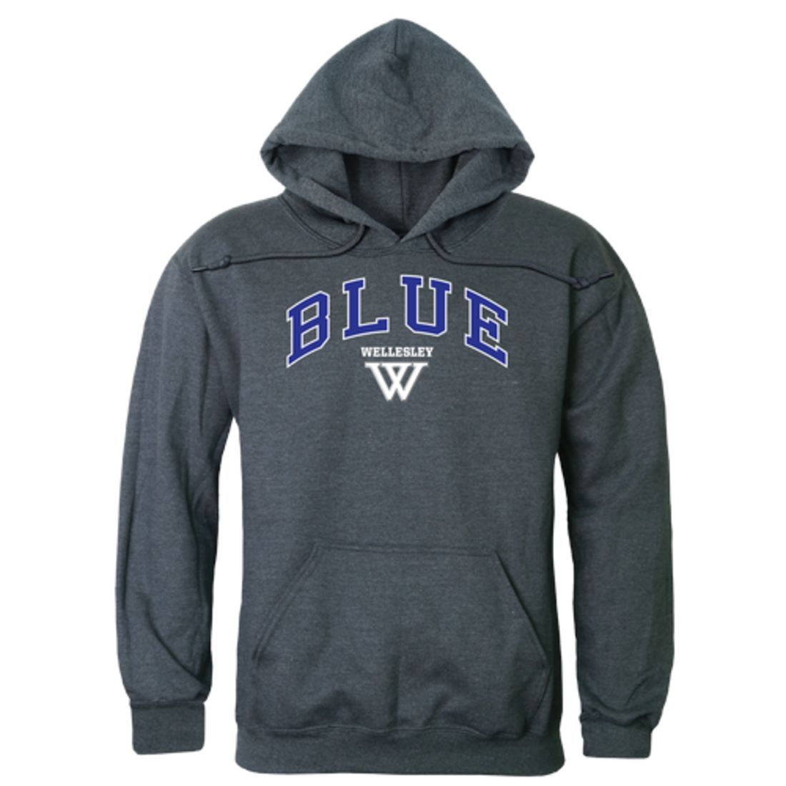 Wellesley-College-Blue-Campus-Fleece-Hoodie-Sweatshirts