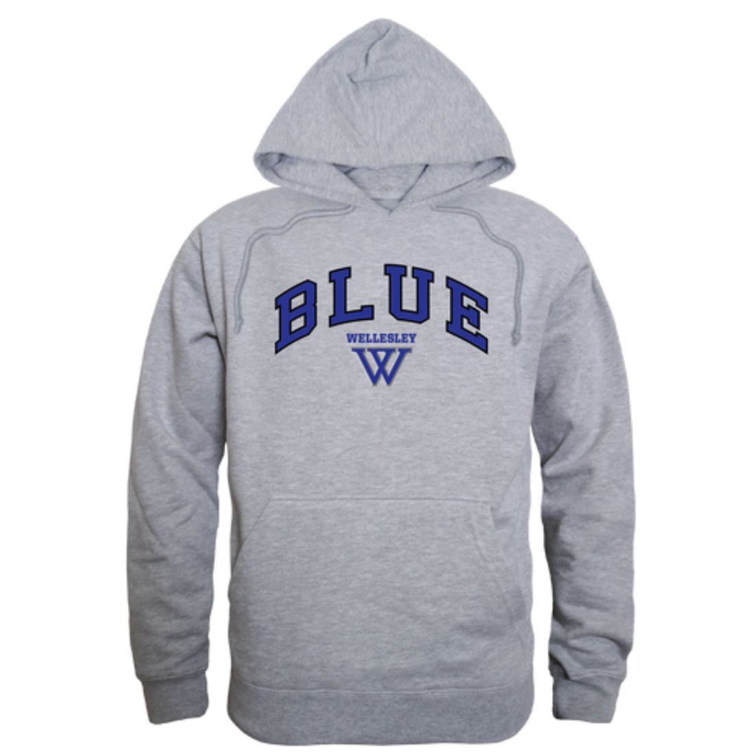 Wellesley-College-Blue-Campus-Fleece-Hoodie-Sweatshirts