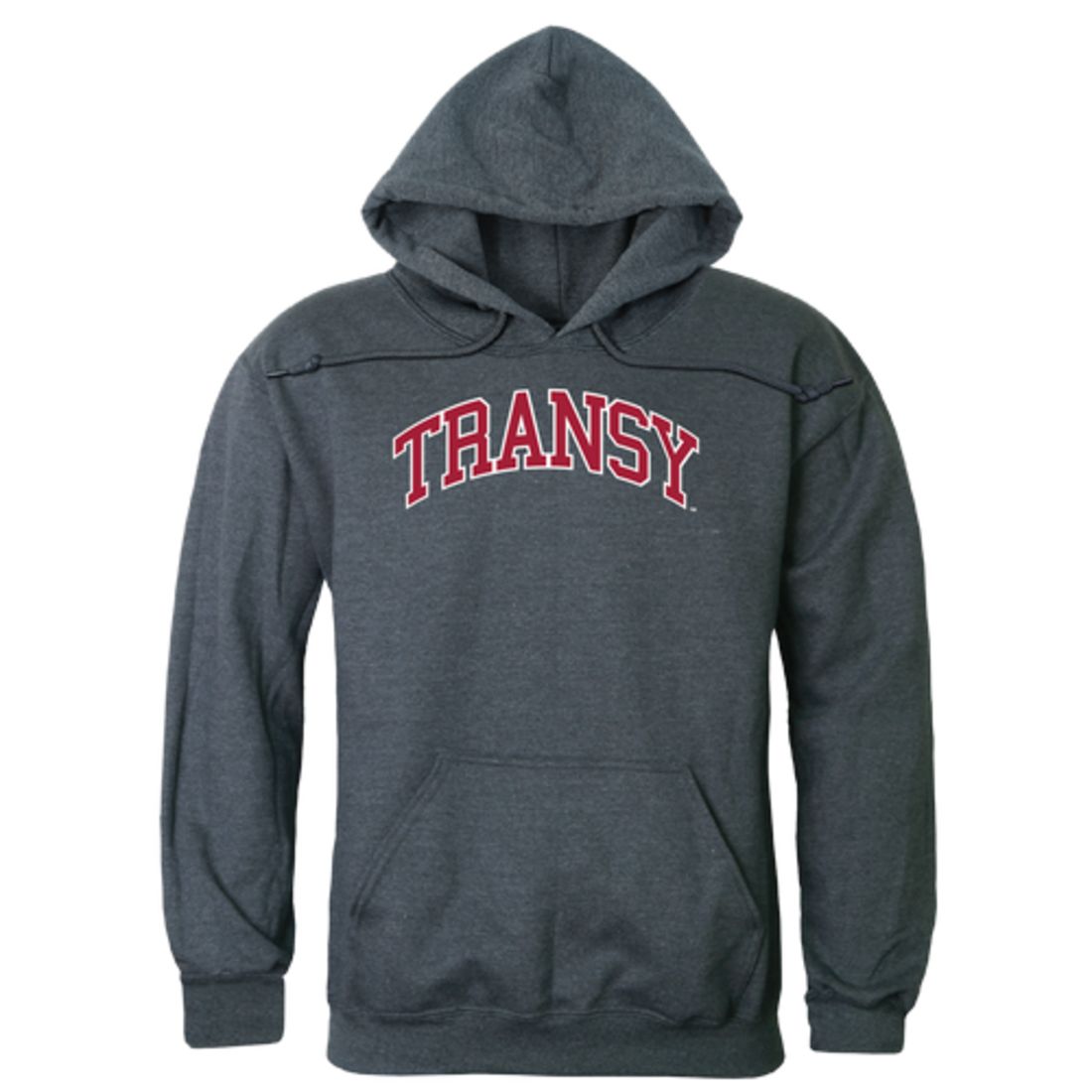 Transylvania University Pioneers Campus Fleece Hoodie Sweatshirts