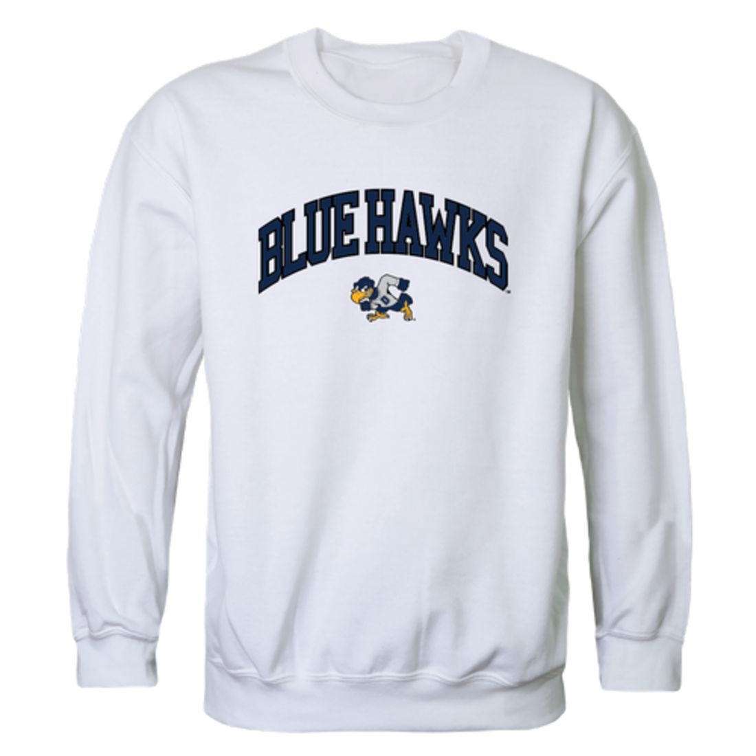 Dickinson State University Blue Hawks Campus Crewneck Sweatshirt