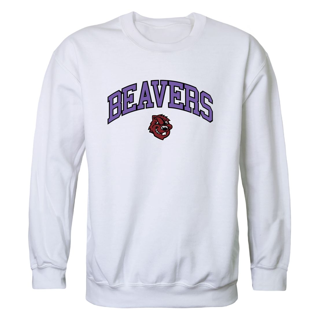 City College of New York Beavers Campus Crewneck Sweatshirt