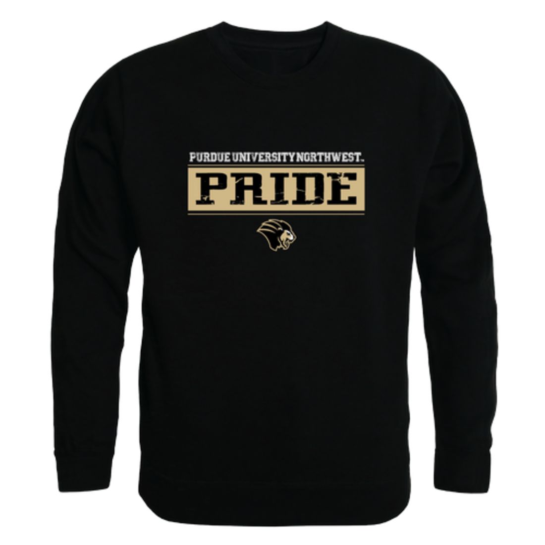 Purdue-University-Northwest-Lion-Established-Fleece-Crewneck-Pullover-Sweatshirt