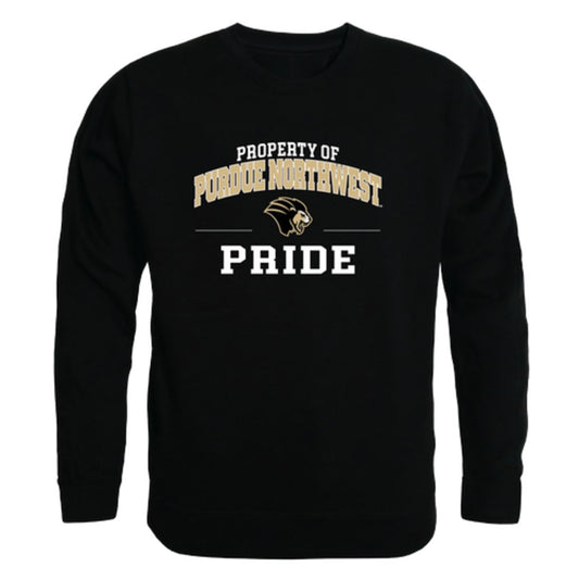 Purdue-University-Northwest-Lion-Property-Fleece-Crewneck-Pullover-Sweatshirt