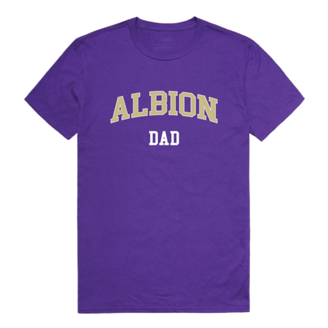 Albion College Britons Dad T-Shirt