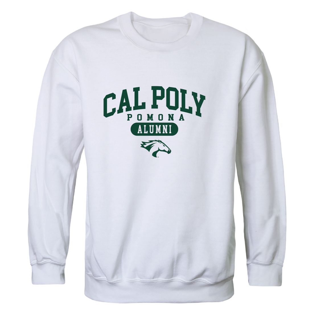 California State Polytechnic Pomona
California State Polytechnic Pomona, Billy Bronco, Cal State Polytechnic Pomona, Broncos Pomona Alumni Crewneck Sweatshirt