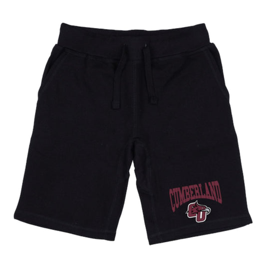 Cumberland University Phoenix Premium Fleece Drawstring Shorts-Campus-Wardrobe