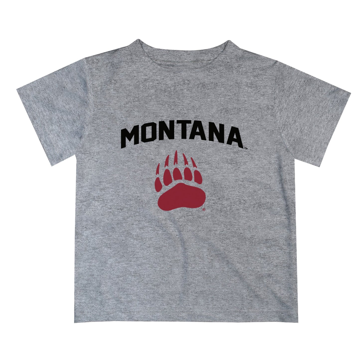 Montana Grizzlies UMT Vive La Fete Boys Game Day V2 Heather Gray Short Sleeve Tee Shirt