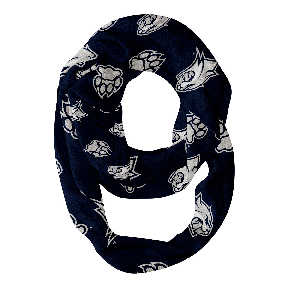 New Hampshire Wildcats UNH Vive La Fete Repeat Logo Game Day Collegiate Women Light Weight Ultra Soft Infinity Scarf