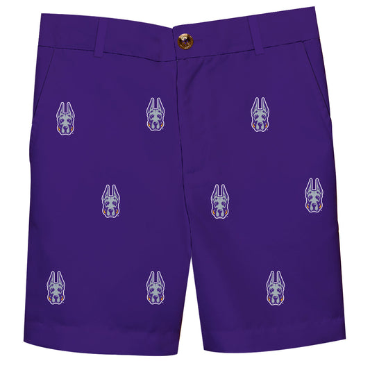 University at Albany Great Danes Boys Game Day Purple Structured Shorts