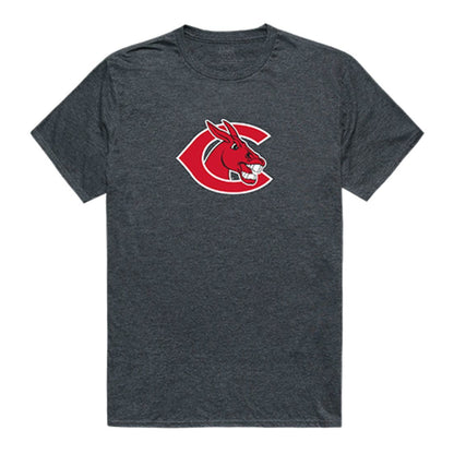 UCM University of Central Missouri Mules Cinder T-Shirt Heather Charcoal-Campus-Wardrobe