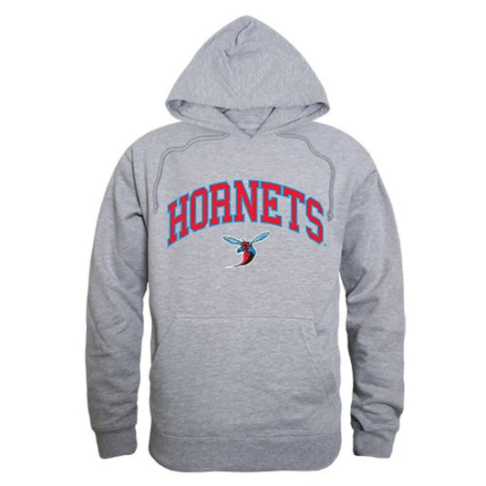 Delaware State University Hornet Campus Hoodie Sweatshirt Heather Grey-Campus-Wardrobe