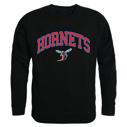 DSU Delaware State University Campus Crewneck Pullover Sweatshirt Sweater Black-Campus-Wardrobe