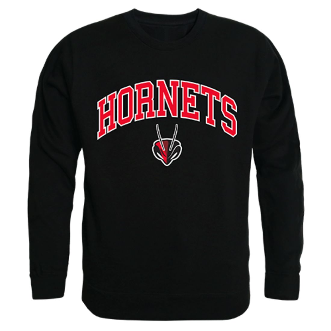 Lynchburg College Campus Crewneck Pullover Sweatshirt Sweater Black-Campus-Wardrobe