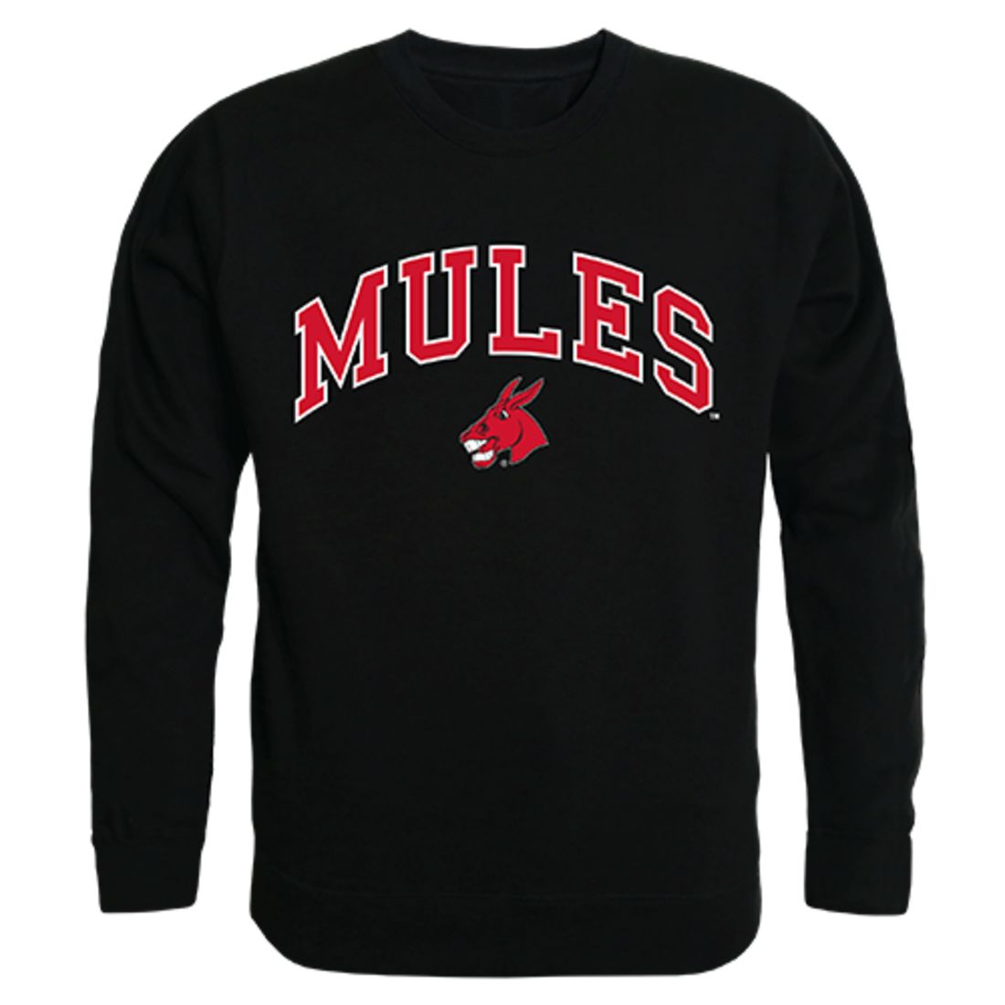 UCM University of Central Missouri Campus Crewneck Pullover Sweatshirt Sweater Black-Campus-Wardrobe