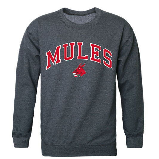 UCM University of Central Missouri Campus Crewneck Pullover Sweatshirt Sweater Heather Charcoal-Campus-Wardrobe