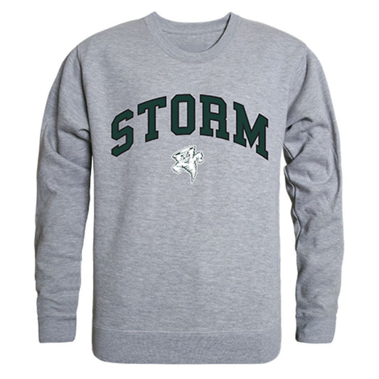 Lake Erie College Campus Crewneck Pullover Sweatshirt Sweater Heather Grey-Campus-Wardrobe