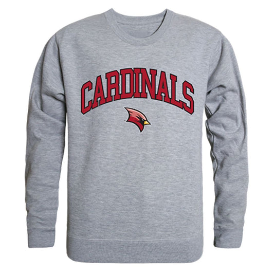 SVSU Saginaw Valley State University Campus Crewneck Pullover Sweatshirt Sweater Heather Grey-Campus-Wardrobe