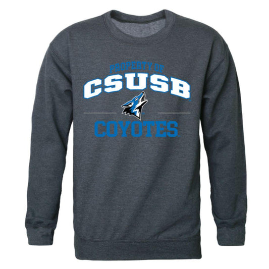 CSUSB California State University San Bernardino Coyotes Property Crewneck Pullover Sweatshirt Sweater Heather Charcoal-Campus-Wardrobe
