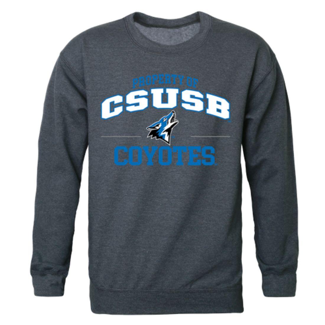 CSUSB California State University San Bernardino Coyotes Property Crewneck Pullover Sweatshirt Sweater Heather Charcoal-Campus-Wardrobe