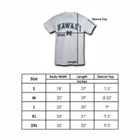 Knox College Prairie Fire Cinder T-Shirt Tee