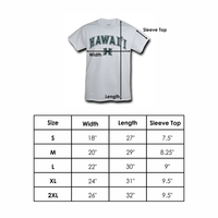 FMU Francis Marion University Patriots Practice Tee T-Shirt Heather Grey